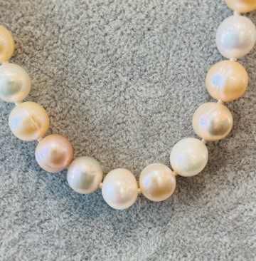 COLLIER PERLES EAU DOUCE MULTI COLOR 09/09mm 24cm NDS + CHAINE ARGT 20cm