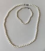 COLLIER PERLES EAU DOUCE 05/06mm 45cm avec Noeuds  FERMOIR AG