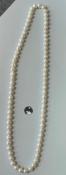 COLLIER 65cm PERLES EAU DOUCE 07/08mm avec Noeuds SANS FERMOIR 