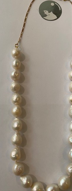 COLLIER PERLES EAU DOUCE BAROQUES 09.10mm sur 27cm + CHAINE PLO 17cm 