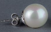 SILVER STUDS WHITE IRISATED PEARLS 12mm BALL