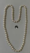 COLLIER 65cm PERLES EAU DOUCE 08/09mm avec des noeuds. SANS FERMOIR 