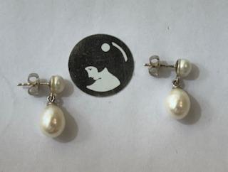 PUCES ARGENT BOUTONS 06mm+POIRES 08x10mm P EAU DOUCE 3 ***