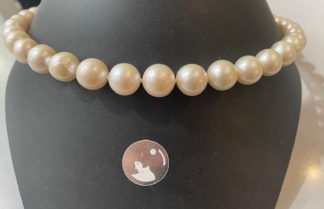 COLLIER 46cm PERLES NATURELLES d'EAU DOUCE en chute de 12 à 09mm. Fermoir argent