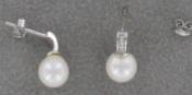 PUCES COQUILLES ARGENT STRASS 10CN1 + PERLES IRISEES 06mm